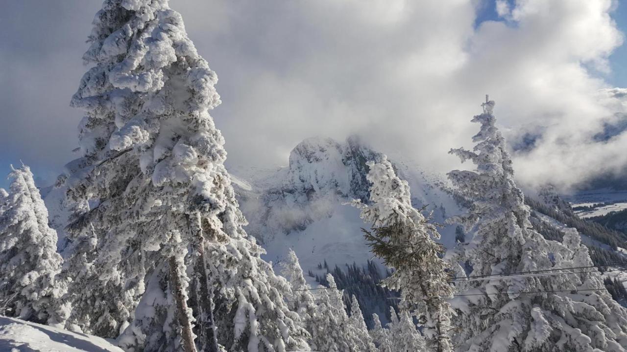 Alpenchalet Vils Tirol Экстерьер фото